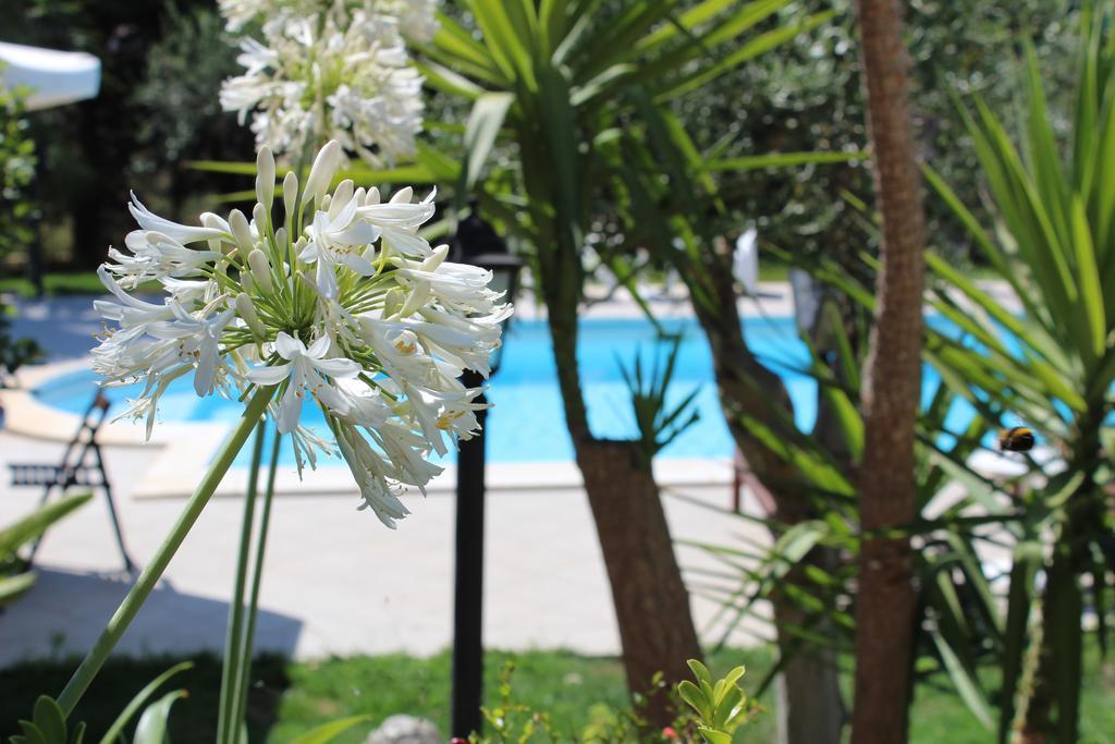 Villa Orchidea Luxury B&B Ispica Kültér fotó